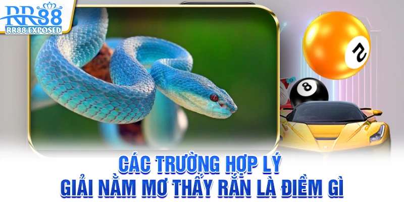 Các trường hợp lý giải nằm mơ thấy rắn là điềm gì