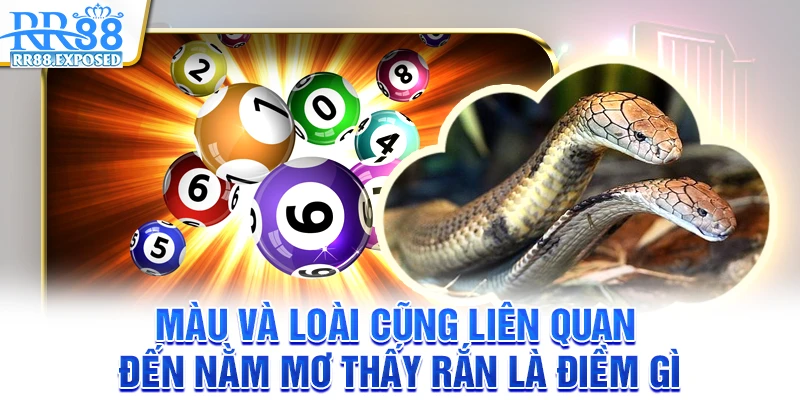 Màu và loài cũng liên quan đến nằm mơ thấy rắn là điềm gì