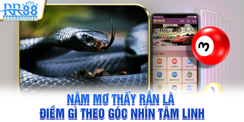 Nằm mơ thấy rắn là điềm gì theo góc nhìn tâm linh