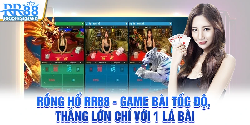 Rồng hổ RR88 - Game bài tốc độ, thắng lớn chỉ với 1 lá bài