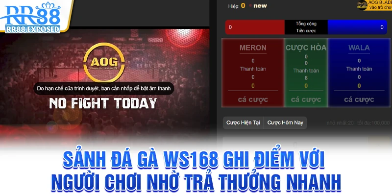 Sảnh đá gà WS168 ghi điểm với người chơi nhờ trả thưởng nhanh