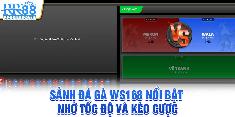 Sảnh đá gà WS168 nổi bật nhờ tốc độ và kèo cược