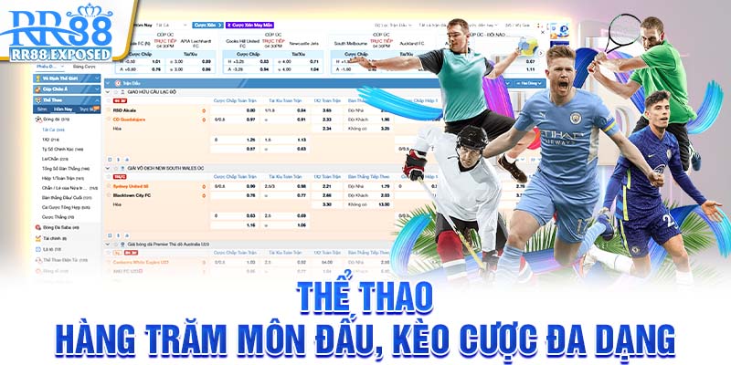 Thể taho hàng trăm môn đấu kèo cược đa dạng
